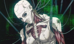 日本三级动漫,揭秘日本成人动画的隐秘世界