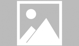 兽父动漫,揭秘人性与兽性的交织世界